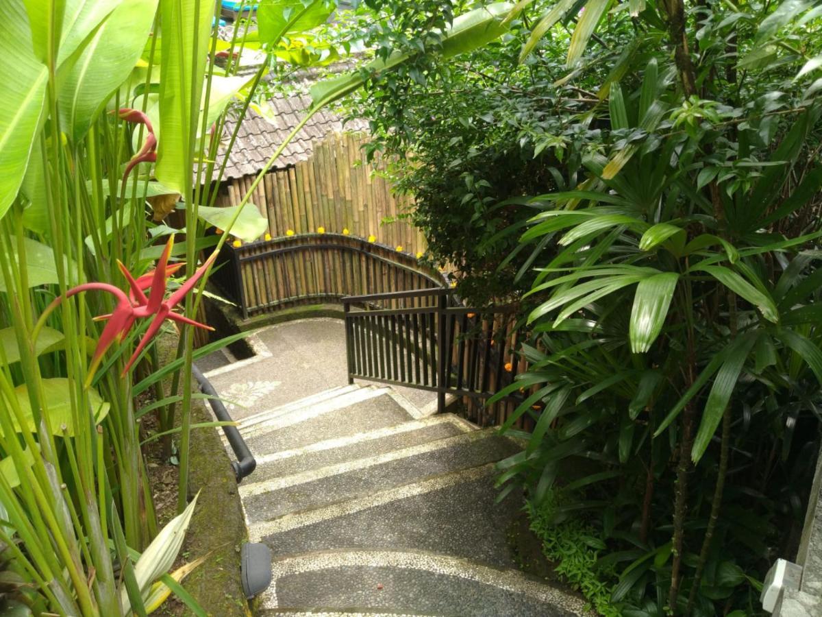 Rumah Kelinci Ubud Exterior foto