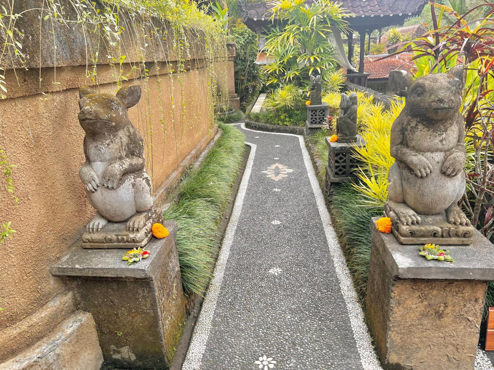 Rumah Kelinci Ubud Exterior foto