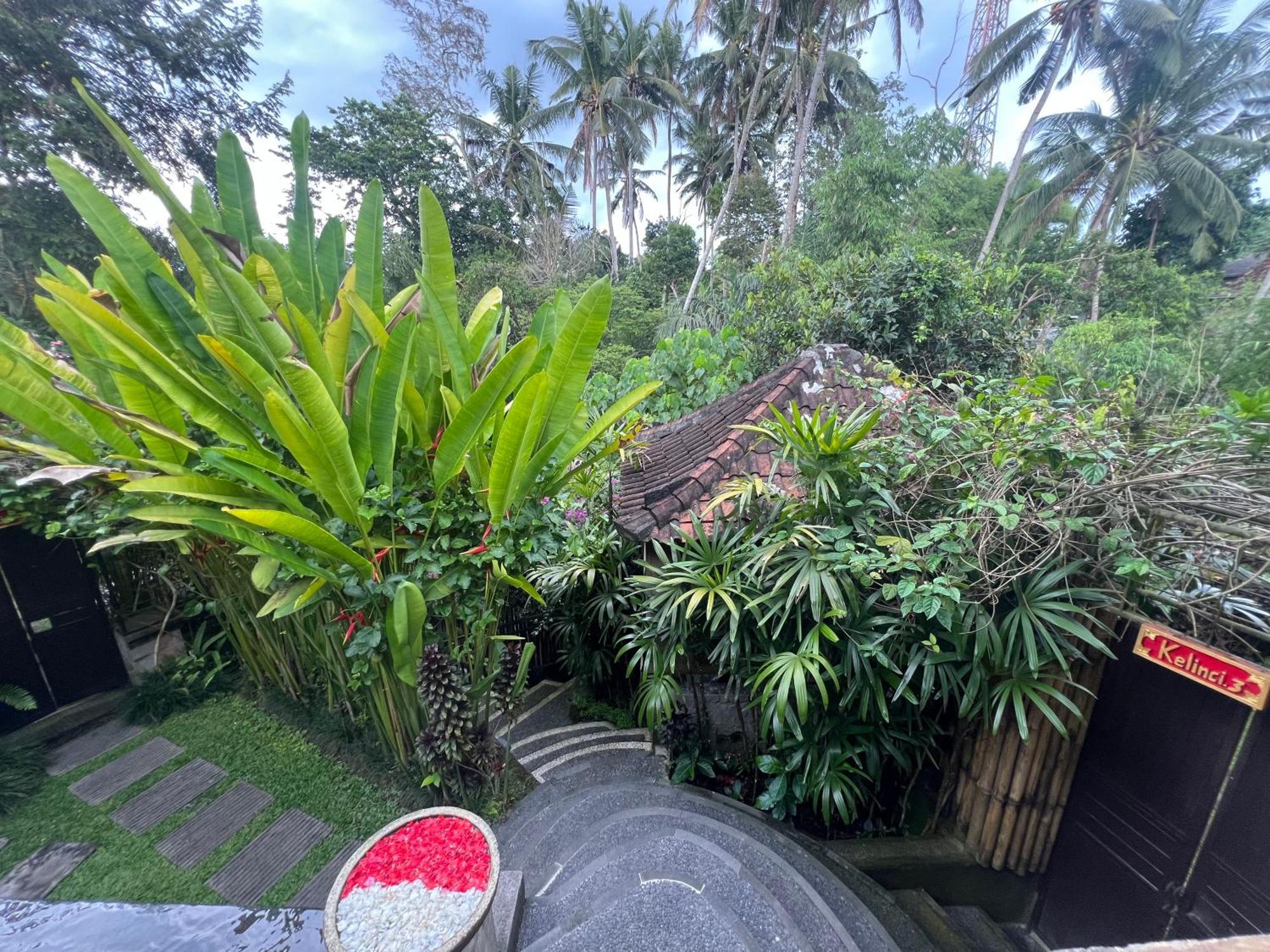 Rumah Kelinci Ubud Exterior foto